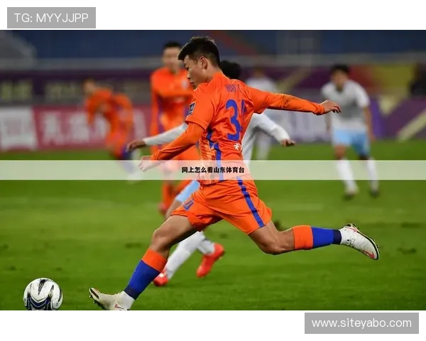 YB体育在线：打造最专业的体育直播平台满足不同用户的观看需求