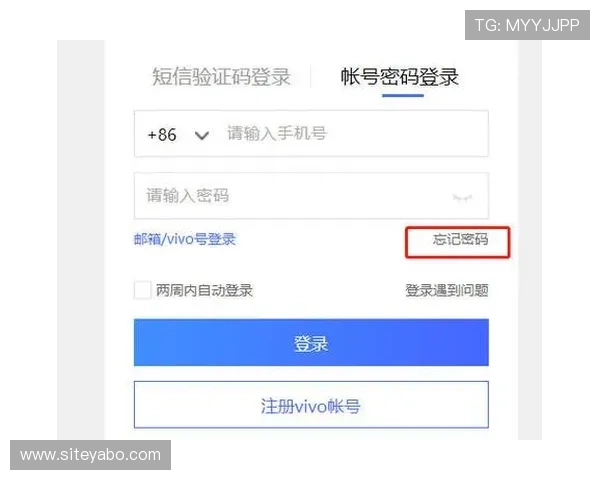 亚博YaBo手机登录：如何通过手机快速便捷地进入账号界面