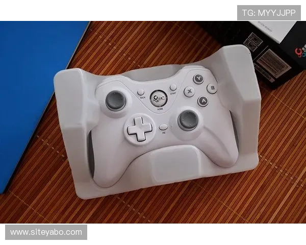 亚博YB官方入口最新登录指南，帮助玩家轻松进入安全稳定的游戏平台