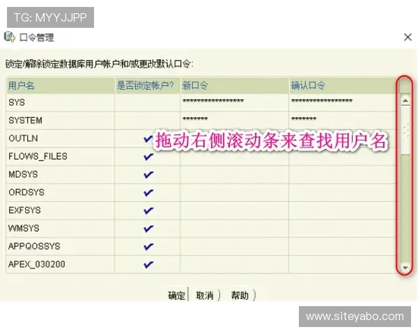 亚博体育网址登录线路常见问题及解决方法全面解析 亚博体育网址登录线路常见问题及解决方法全面解析
